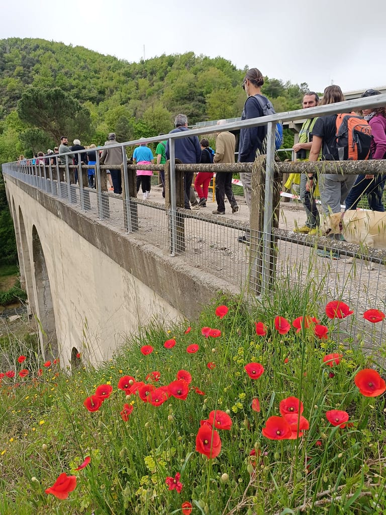 Pont sobre la riera de Clarà a la Via verda del carrilet a Viladomiu Nou